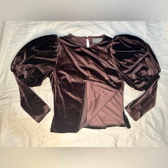 Anthropologie Sunday in Brooklyn Velvet Puff Sleeve Top Purple Romantic Glam Med - Picture 12 of 13